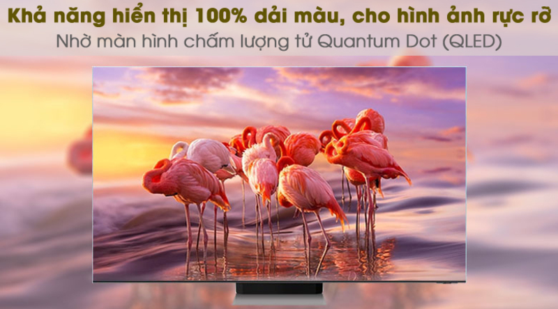 Smart Tivi QLED 4K 55 inch Samsung QA55Q65A