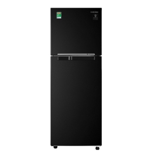 Tủ lạnh Samsung Inverter 256 lít RT25M4032BU/SV